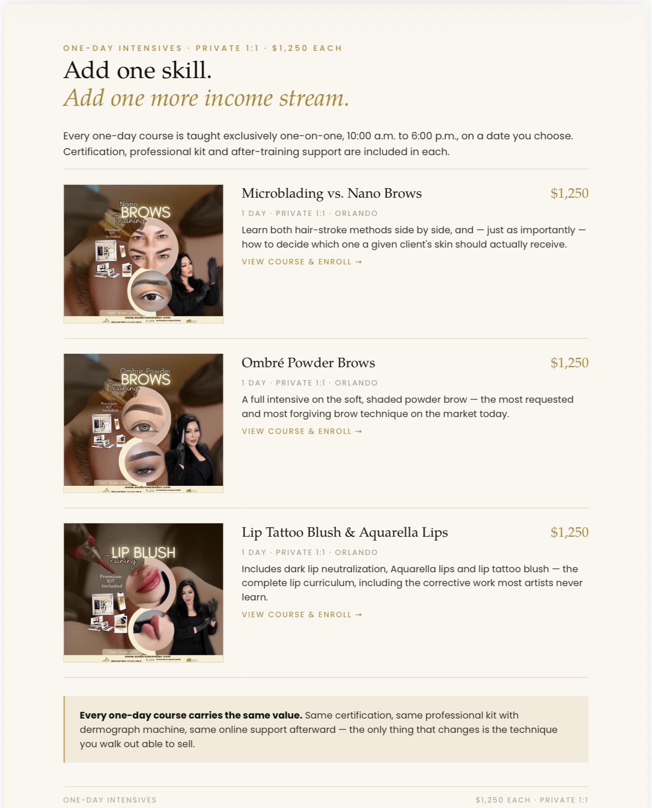One-day intensives — brows and lips courses