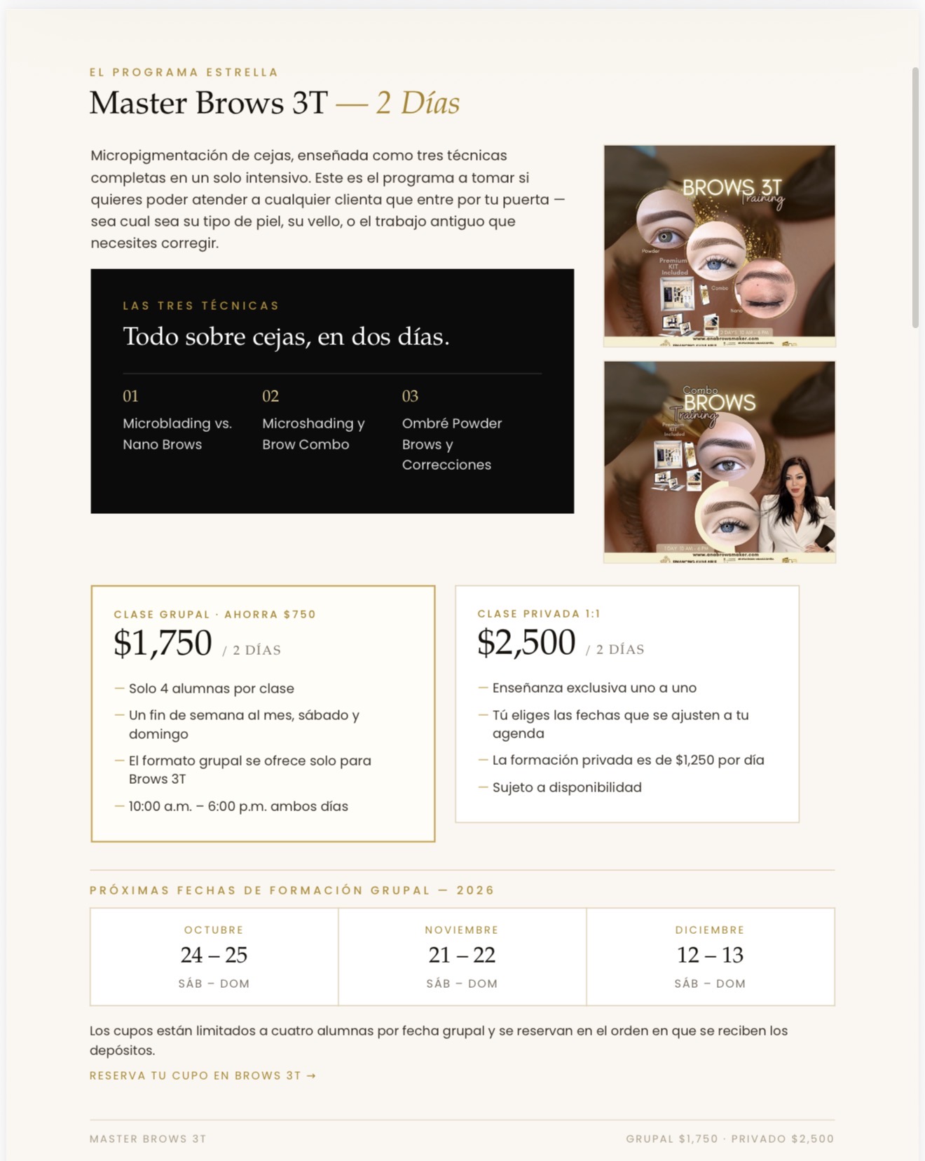 Programa Brows 3T — fechas y precios