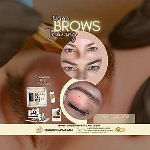 microblading vs nano brows training